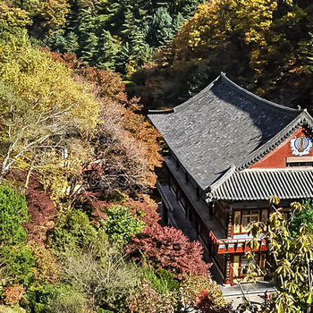 구인사